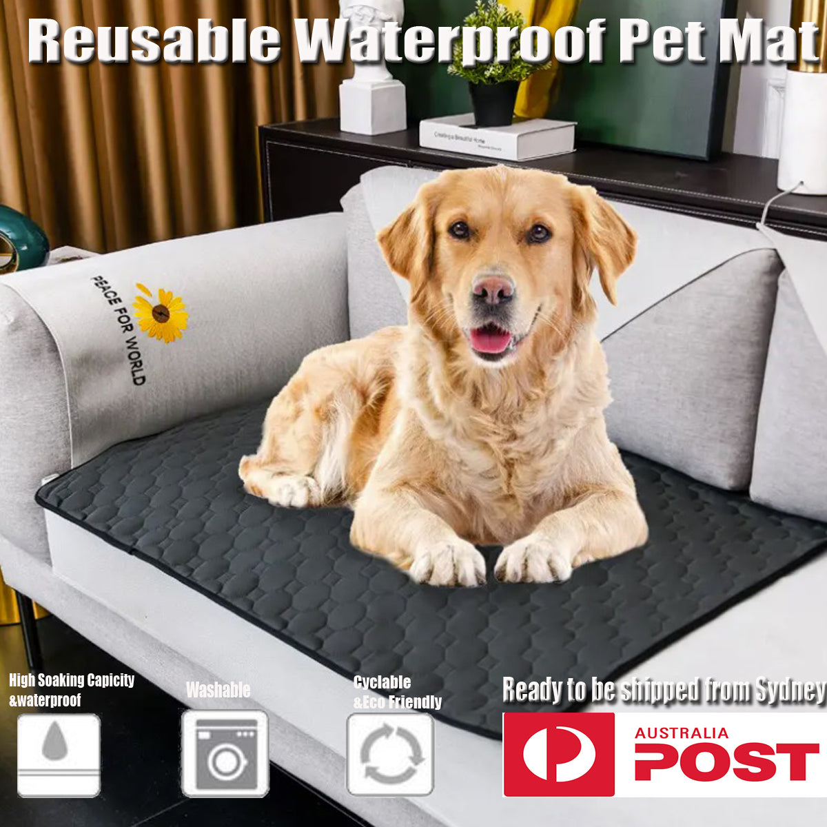 Freeship-Washa Freeship-Washa